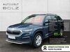 Skoda Kodiaq Wiersdorf