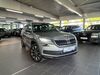 Skoda Kodiaq giesenhausen