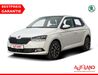 Skoda Fabia muehlstedt