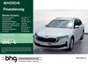 Skoda Octavia Immenstaad am Bodensee