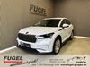 Skoda Enyaq kreis|suedliche-weinstrasse