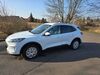 Ford Kuga deutschland