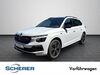 Skoda Kamiq ober-hilbersheim