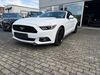 Ford Mustang wissmannsdorf