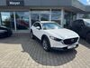Mazda CX-30 Büddenstedt
