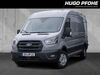 Ford Transit Mankmuß