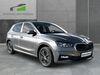 Skoda Fabia muehlstedt