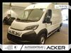 Fiat Ducato nieder-hilbersheim