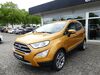 Ford EcoSport muehlstedt