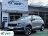 Skoda Karoq kreis|erlangen-hoechstadt