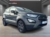 Ford EcoSport kreis|suedliche-weinstrasse