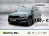 Skoda Karoq nemsdorf-goehrendorf