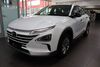 Hyundai NEXO Irrhausen