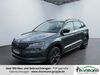 Skoda Karoq sanne-kerkuhn