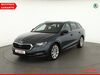 Skoda Octavia Eisenhüttenstadt