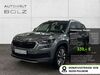 Skoda Kodiaq Wiersdorf