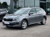 Skoda Kamiq wolkenstein