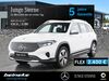 Mercedes-Benz EQB boffzen