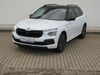 Skoda Kamiq irrhausen