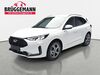 Ford Kuga wattmannshagen