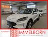 Ford Kuga dankmarshausen