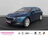 Skoda Octavia ober-hilbersheim