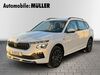 Skoda Kamiq juetrichau
