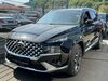 Hyundai SANTA FE muenster-sarmsheim