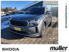 Skoda Kodiaq schoena-kolpien