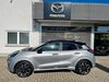 Ford Puma voelklingen
