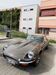 Jaguar E-Type Saalow
