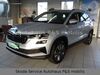 Skoda Karoq hoehr-grenzhausen