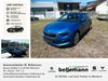 Skoda Scala ober-hilbersheim