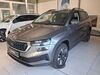 Skoda Karoq Eisenhüttenstadt