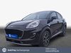 Ford Puma kreis|suedliche-weinstrasse