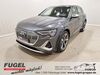 Audi e-tron kreis|bad-toelz-wolfratshausen