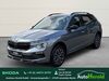 Skoda Kamiq birkweiler