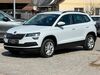 Skoda Karoq schoena-kolpien