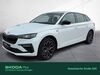 Skoda Scala kreis|tuebingen