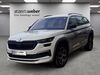 Skoda Kodiaq bergholz-rehbruecke