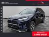 Toyota RAV 4 torgelow-hollaenderei