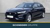 Seat Leon stumsdorf