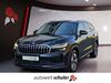Skoda Kodiaq grafenhausen