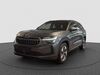 Skoda Kodiaq dorn-duerkheim