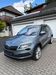 Skoda Karoq giesenhausen