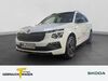 Skoda Kamiq hoehr-grenzhausen