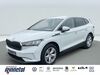Skoda Enyaq teichweiden