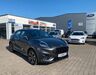 Ford Puma oberheimbach
