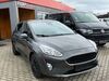 Ford Fiesta meine