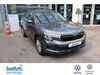 Skoda Kamiq kronshagen